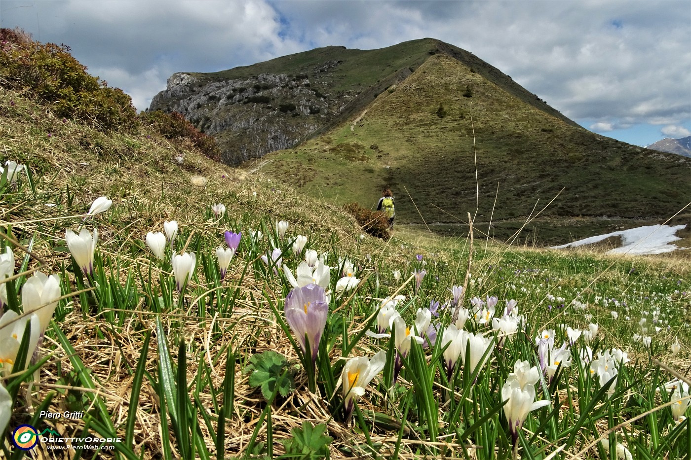 66 Crocus con Cima di Piazzo.JPG